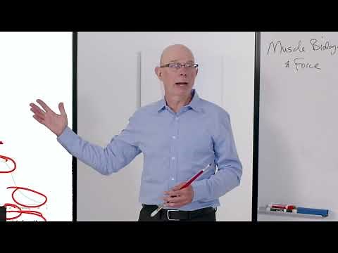 Biomechanics of Movement | Lecture 4.3: What is Tendon?