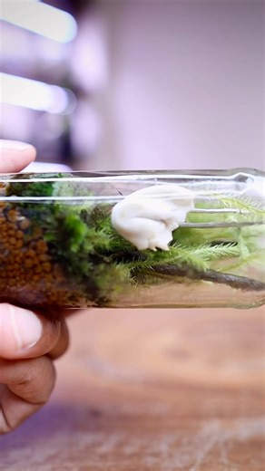 From trash to thriving🌱one year later