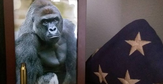 The Harambe meme is still going strong. And it’s about a lot more than a dead gorilla.