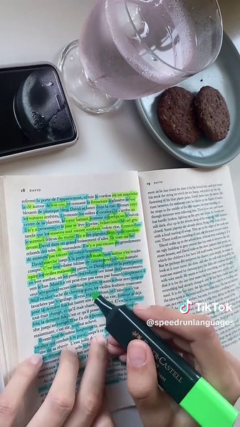 Daily French Study Routine: Day 45 Insights