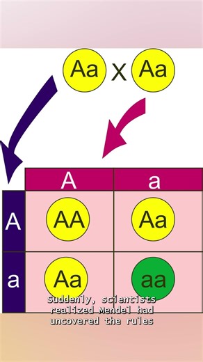 The Discovery That Explained How Traits Are Inherited