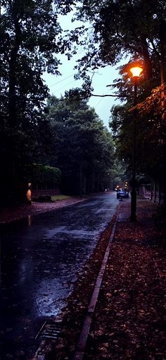 Kids - Stranger Things (slowed and reverb)