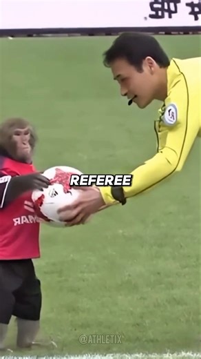 Animal Skill In Football 🤯😳 #shorts #football