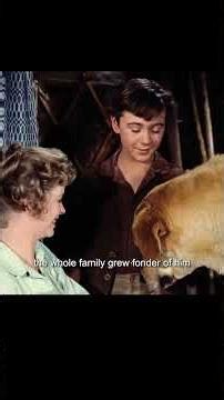 A good dog can protect its owner's life #film #movie #movieclips
