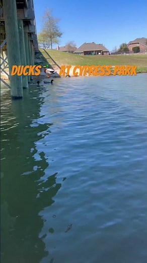 Cypress Park Houston where families actually want to spend their time #weekendvibes #parenting