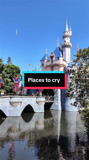 Where do you go when you have the scaries at Disney? #disney #disneyland #placestocry #crying #smallcontentcreators