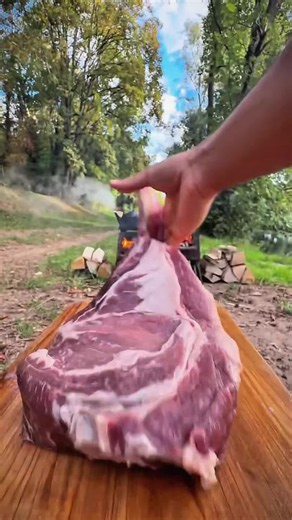 #leon #asmrnature #foodtiktok #cookingnature #uotdoorcooking | cooking videos