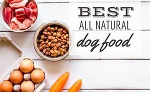 Best All-Natural Dog Food: Dry, Wet, Fresh, Dehydrated, Freeze-Dried, Raw & More
