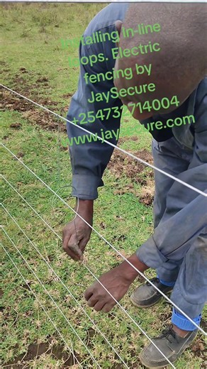 Installing electric fence 'in-line' loops to detect attempted separation of fence wires and leaving just enough room for natural movement of the live wire. When the earth wire touches the loop a connection is made and the alarm will sound. | Jay Interkazi