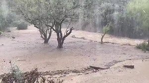 Flash Flooding Strikes Central Arizona as Heavy Storms Roll Through