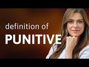 Punitive | PUNITIVE meaning