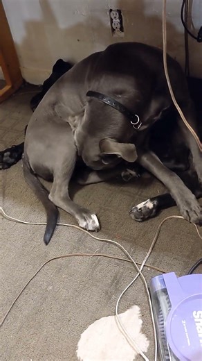 awkward positions 😂