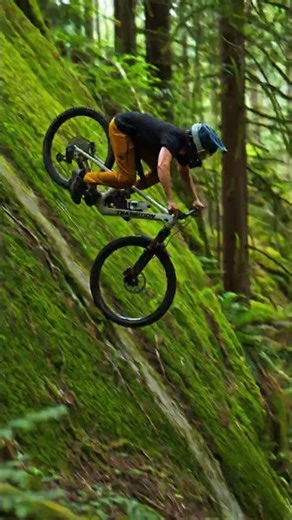 This MTB Descent Is Wild