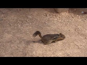 Film filmy za darmo z lektorem i polskimi napisami