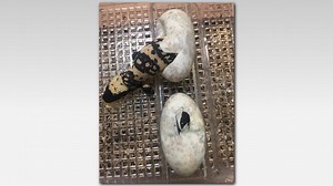 Phoenix Zoo sees first Gila monster babies for several years