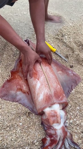 We Cut Open This Giant Squid… What Came Out Shocked Everyone!