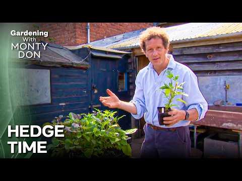 How To Trim Properly? | Gardeners' World Season 1 Episode 17
