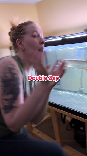 Dale Seafoam Double Zap Video Leaked