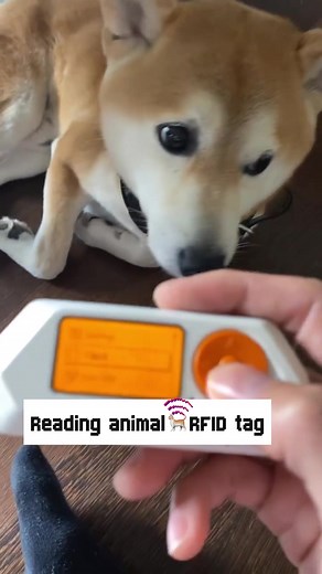 Read Animals RFID Tags with Flipper Zero