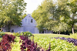 Primo Restaurant, the Ultimate Farm to Table Experience