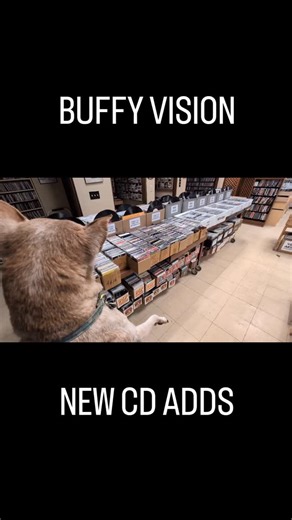 35 reactions | EVEN SHE CAN SEE! All new within the past few weeks. NOT the Japanese haul (those are mostly gone already!) It's Saturday and we're here until 7 PM. | Preserving Record Shop | Facebook