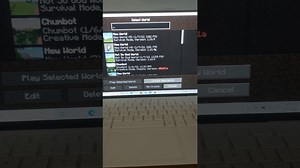 Minecraft Speedrun World Record