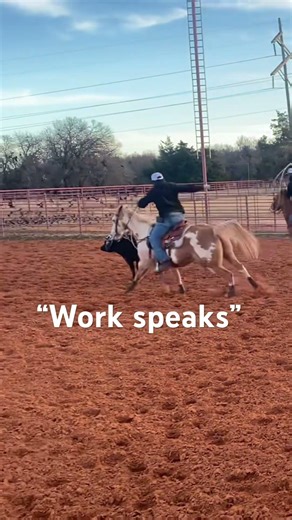 #horse #roping #rodeo #teamroping
