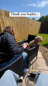 Sophie grooming Benji. Benji was sick a day before his grooming day so I need to cancel it. #cavapoochon #grooming #cavapoolife #happydogs #goodboy #groomingday #fbreelsfypシ゚viralシ | Abigail Hofer Nickson | Facebook