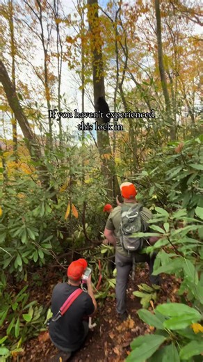 #viral #relatable #bearhunting #nchounds | bear