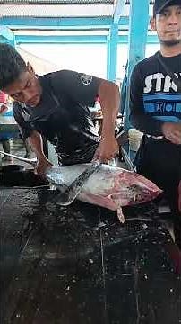 Big tuna cuttting skills