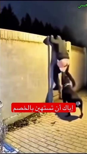 إياك أن تستهين بالخصم #اكسبلور #الرحالة_رزق_المدني