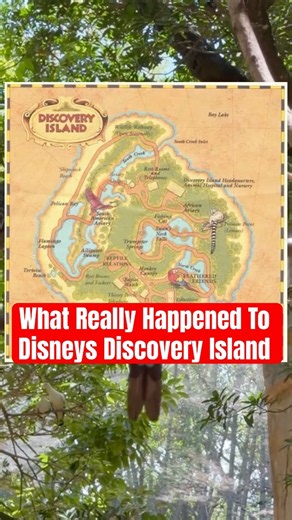 Disney’s Abandoned Island: The Animal Cruelty Case That Changed Everything
