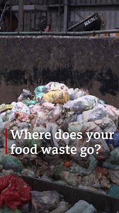 Here's where your composted food bin goes! | BBC Oxfordshire