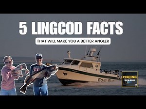 5 Lingcod Facts That Will Make You a Better Angler