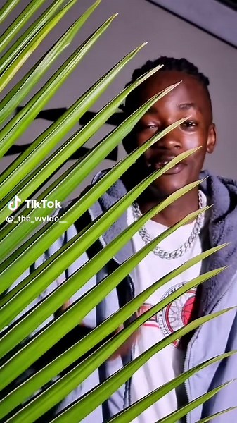 Explore the Latest Riddim Songs and Lip Sync Trends