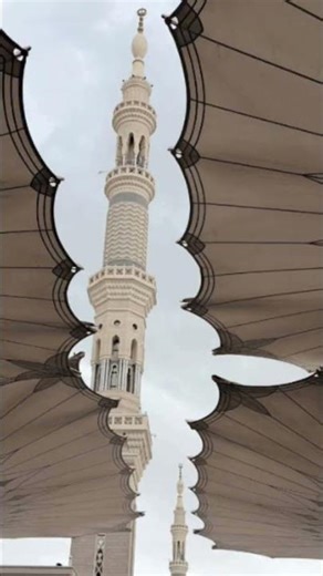Muhammad Nabina #muhammadﷺ #madinekibaatein #naat #rasoolallah #beautiful #darulqasas #shortvideo