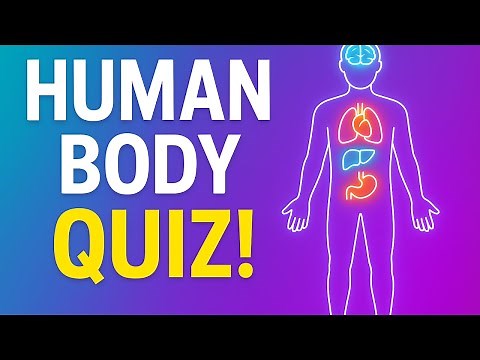 Human Body GK Quiz - Can You Score 100%?