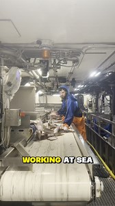 Fishing companies are hiring new crew members for work on vessels and coastal bases. Experience is welcome, but if you don’t have it — no problem, full training is provided on-site. The job is suitable for those looking for stable work, fair conditions, and the opportunity to work abroad. Accommodation and meals are provided, and schedules are well-organized. Tap “Learn more” to see which fishing jobs are available now. | Global Job Network