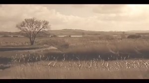 35K views · 776 reactions | "Compasión" Los Payos | CANAL Dirtenefe"música". | Facebook