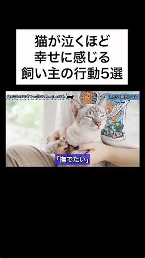 ↑Click the ▶︎ above for details👆A veterinarian explains the behaviors of owners that make cats cr...