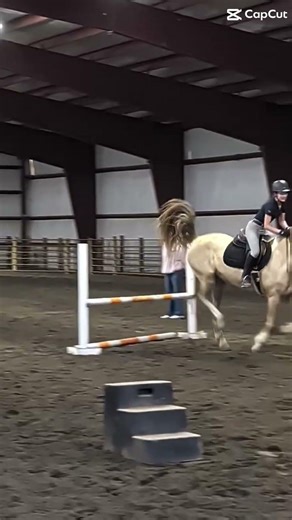 BEST MAN EVERRR #equestrianjourney #horse #equestrian