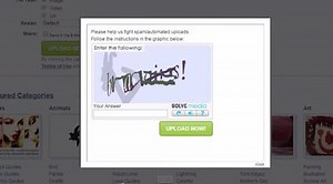Capturing the captcha