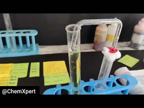 Revision of all Activities of chapter 2 | Acid Bases and salt| Class 10 Science