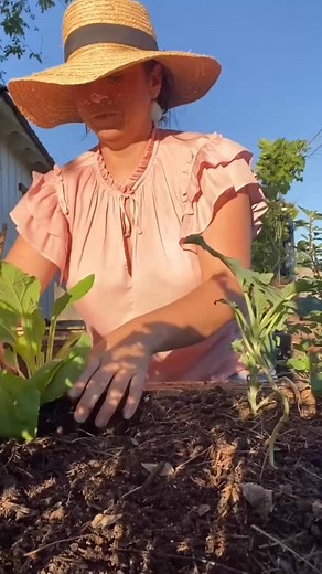 17 reactions · 6 comments | When I first started gardening I was...