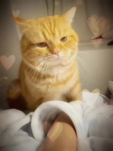 Mihamii35 (@mihamii35)’s videos with ketamine (Slowed) - Jurasd & REVER$