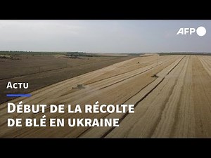 Ukraine: début de la récolte du blé dans le sud du pays | AFP