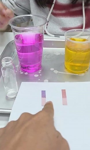 산과 염기 : 리트머스 종이의 색변화 2