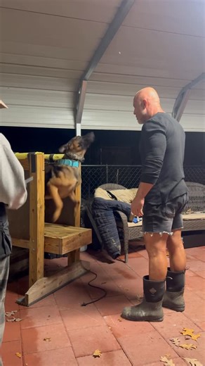 Justin Rigney | 💥MAKING OF MERK💥 ✅Active/ Passive on civil target ✅Violence solves conflict ✅Installing cues #k9servicesunlimited #malinois #workingdog... | Instagram