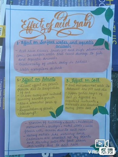 Project file on ACID RAIN 🌧.....🦋🦋../#duodo /#shorts /#uPril_Crft