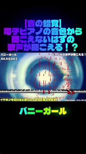 【音の錯覚】バニーガール（AKASAKI）‪@AKASAKI_0727‬